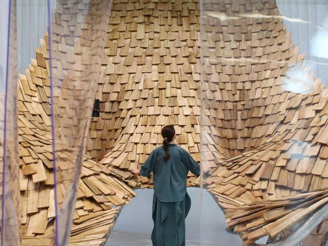 A visitor stands inside a sweeping, curved landscape of overlapping wooden shingles, seen through translucent hanging curtains
